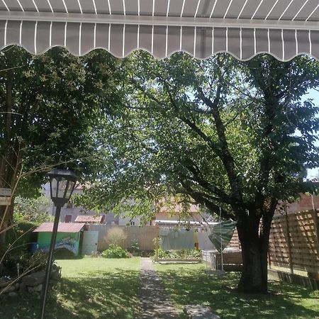 Ferienwohnung Chambre 23M2 Avec Jardin Wi-Fi Gratuit Saint-Girons Exterior foto